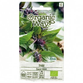  الريحان الحلو التايلاندي 