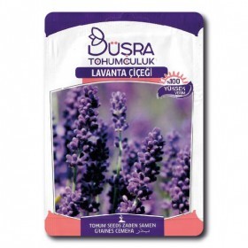  زهور لافندر تركي 