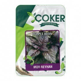  ريحان بنفسجي تركي 