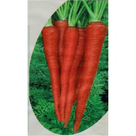  جزر هندي أحمر 10  غرام 