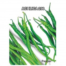  الفلفل  الحار التركي  أليكا 