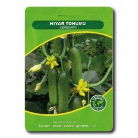  خيار تركي وسط 