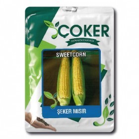  ذرة شكر ميصر ( ذرة سكرية تركية ) 