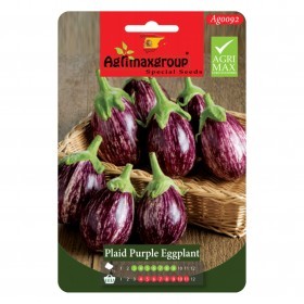  باذنجان بنفسجي موشح 