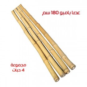  عصا  بامبو  لتدعيم النباتات 4 قطع 180 سم 