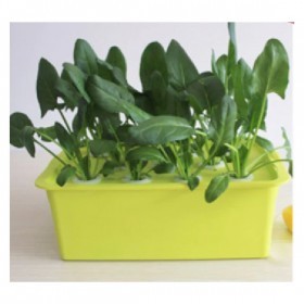  نظام زراعة مائية هوائي  11 شتلات كامل بدون مضخة 