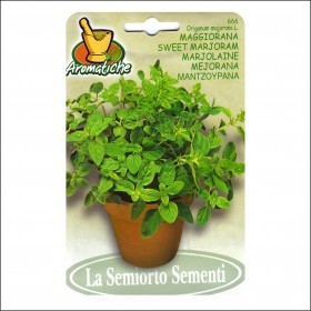  مردقوش ايطالي صنف فاخر 