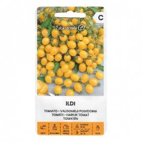  طماطم شيري اصفر 