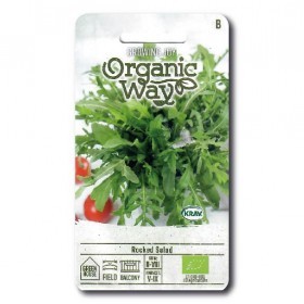  سلطة روكيد ايطالي 