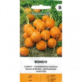  جزر مدور  روندو 